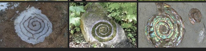 three photos of spirals in nature. one is carved into rock, one is made from moss on a rock & one is made from shards of paua shell